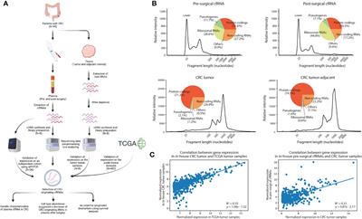 Cell-free circulating tumor RNAs in plasma as the potential prognostic biomarkers in colorectal cancer